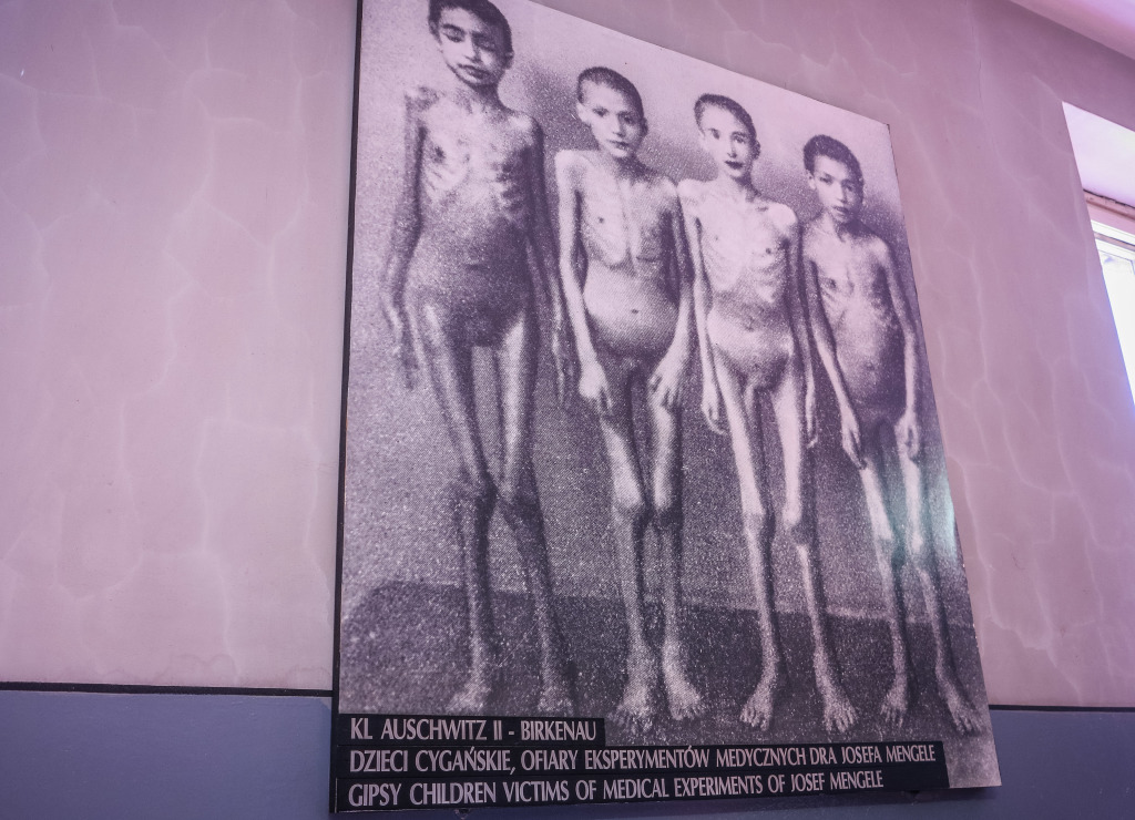 Auschwitz-Birkenau Victims of Experiments Gypsy children Josef Mengele Dr Death