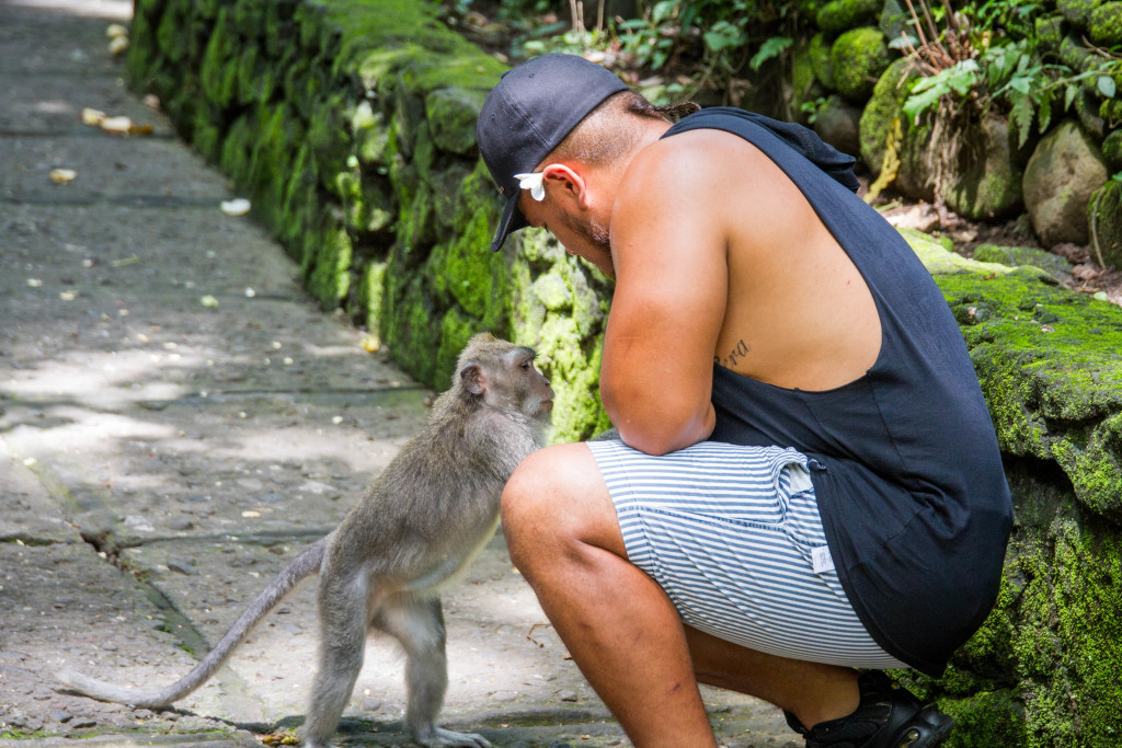 Tourist and Monkey at Sacred Monkey Forest Ubud Indonesia